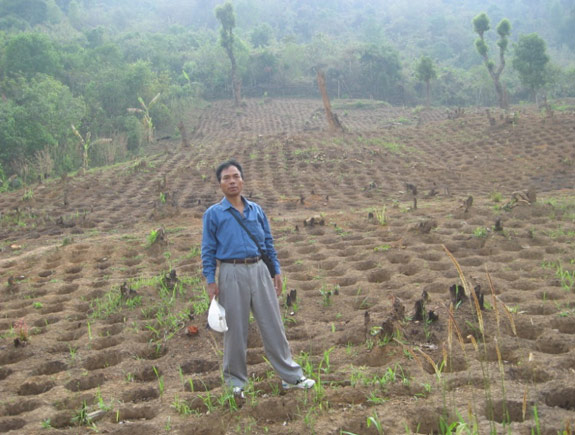 Tree-Holes-Myanmar-Tom-Post