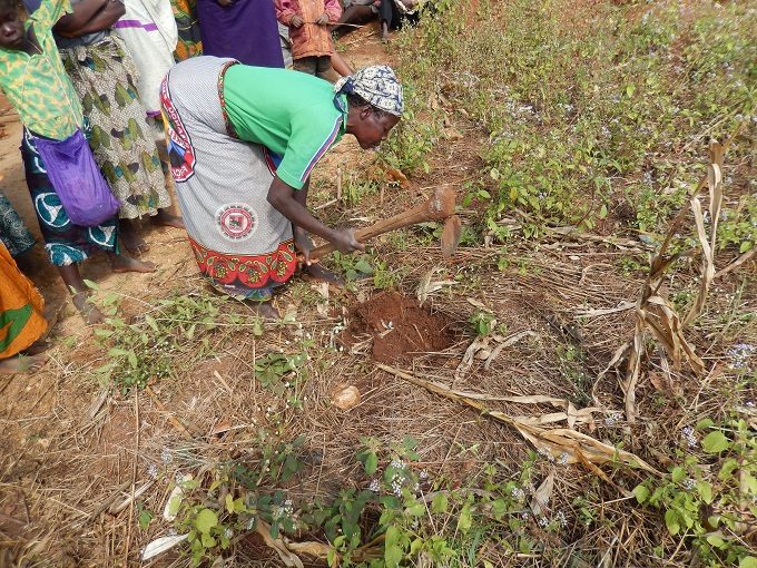 Ana Maria Digging Planting Spot