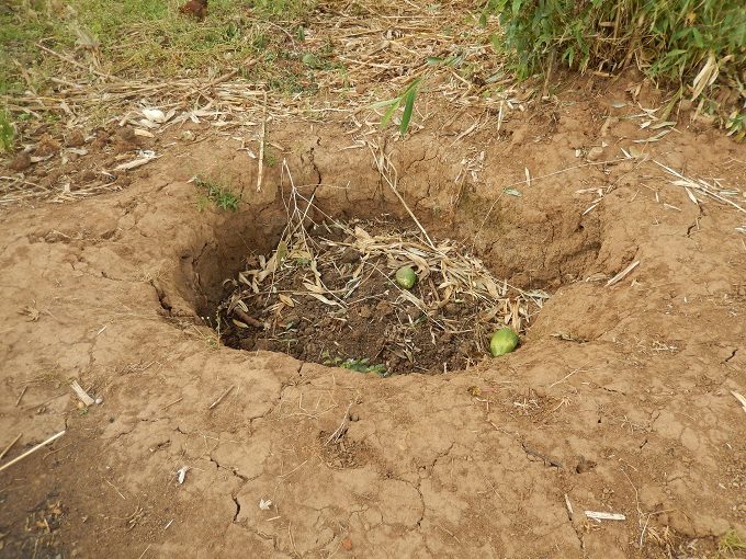 Compost Making: Lots of Self-Reliant Work