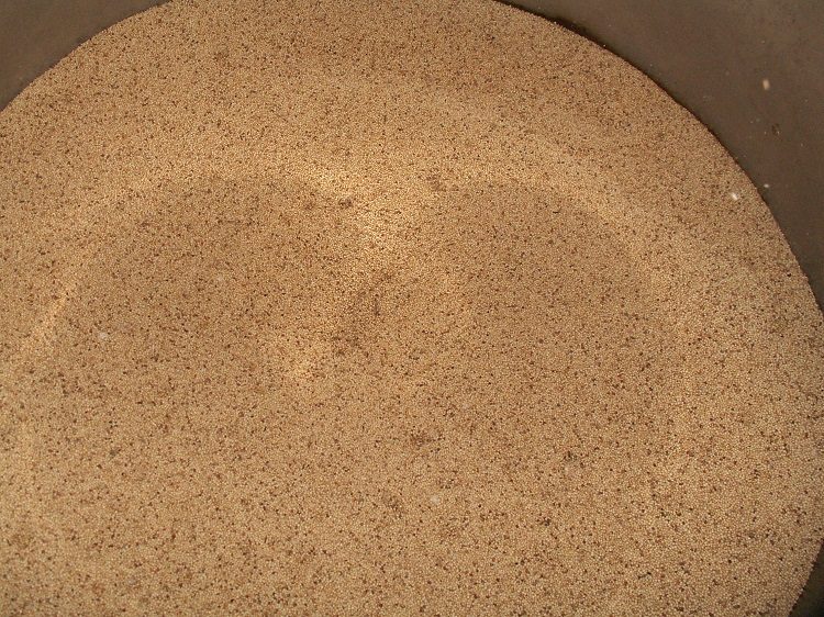 A Bucket Full of Cleaned Amaranth