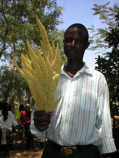 Proud Amaranth Farmer