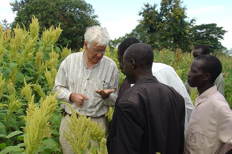 Sid Dialoging with Farmers in Amaranth Field: How to know when its ripe