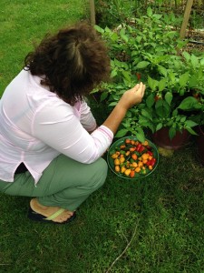 Precious Peppers