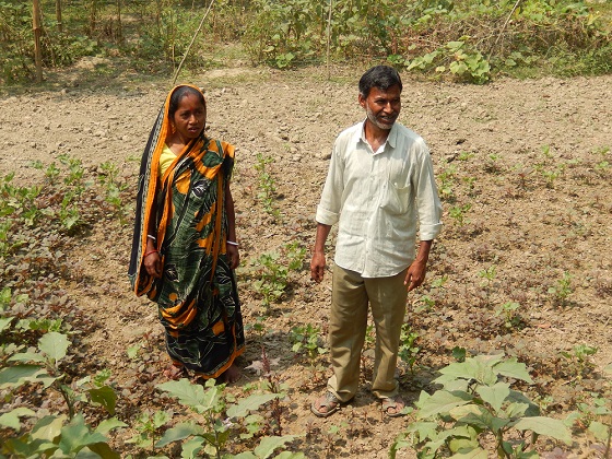 A Man and his Wife: Making a Living in Bangladesh on a Tiny Bit of Land